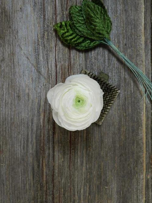 Wholesale White Ranunculus Delivered Online FlowerFarm